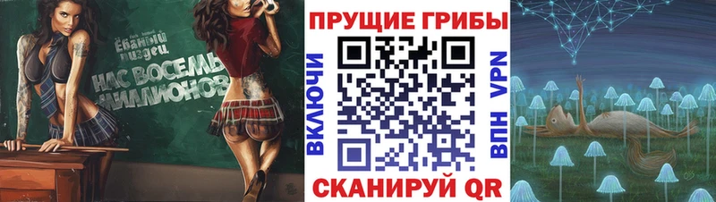 Галлюциногенные грибы Psilocybine cubensis купить наркотики сайты Кемерово